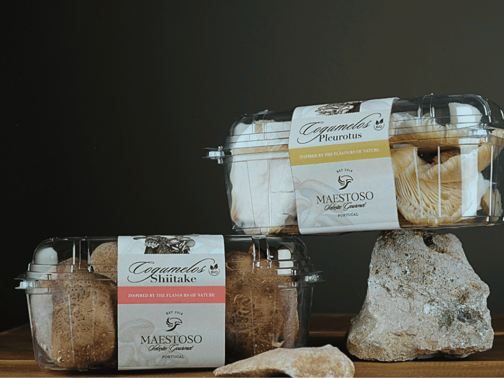 Cogumelos Shiitake e Pleurotus frescos